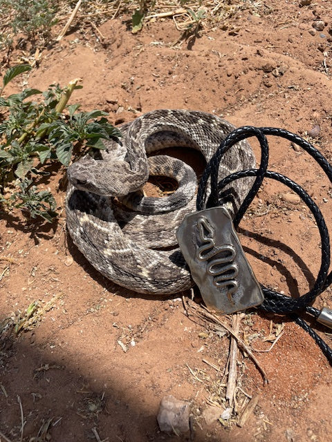 Viper Bolo Tie